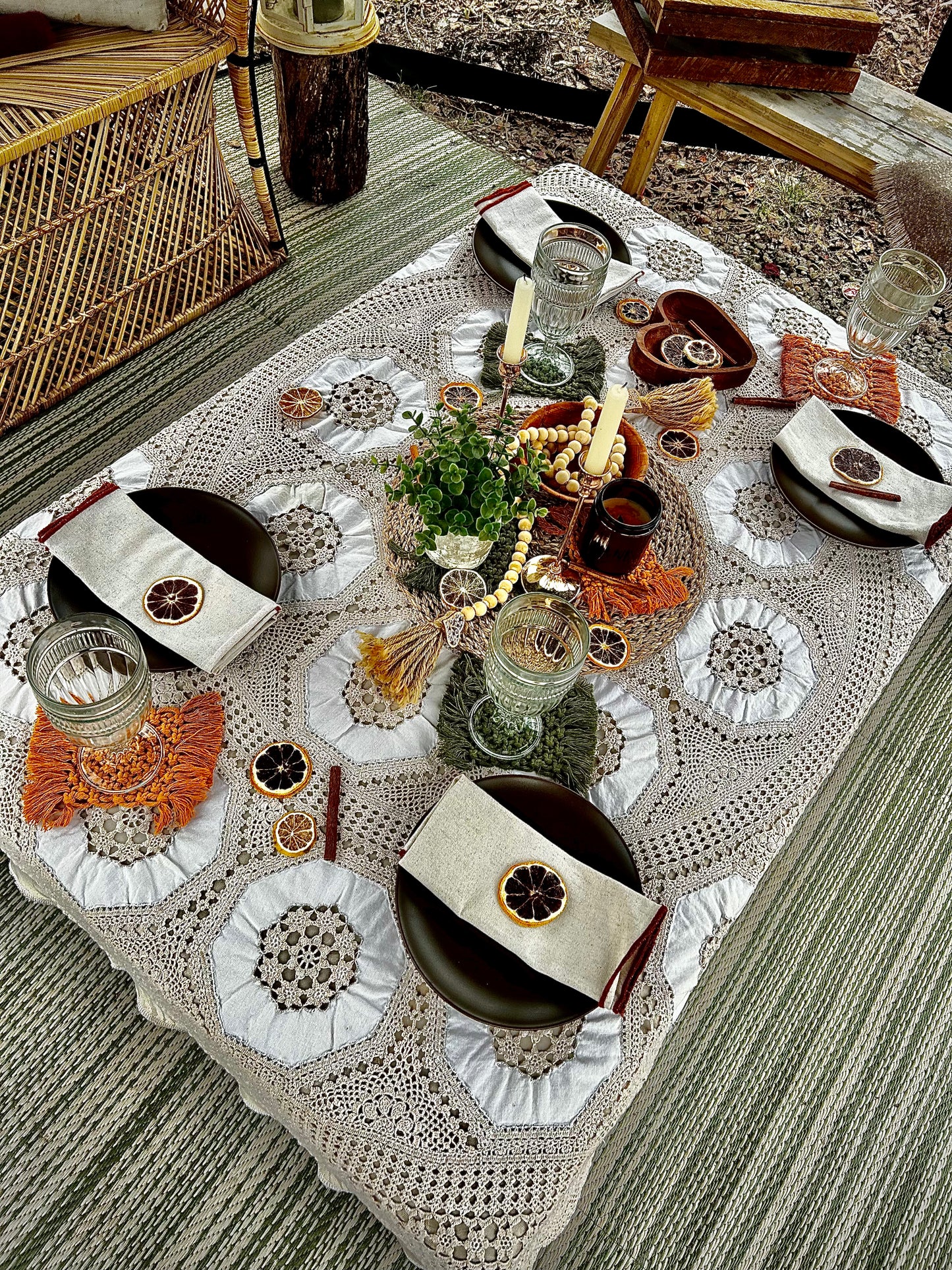 BOHO Group Picnic
