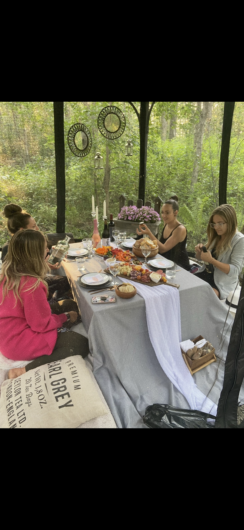 Classic Group Picnic