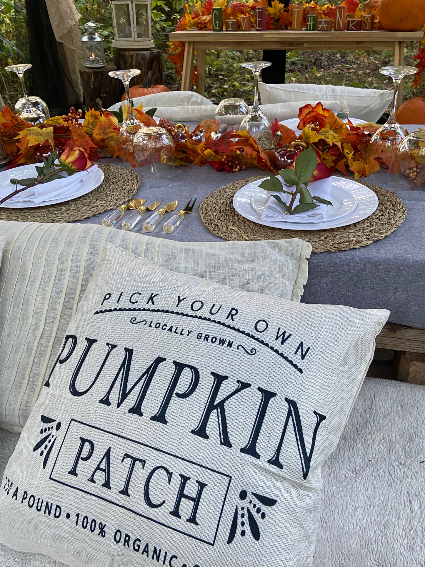 Fall Picnic