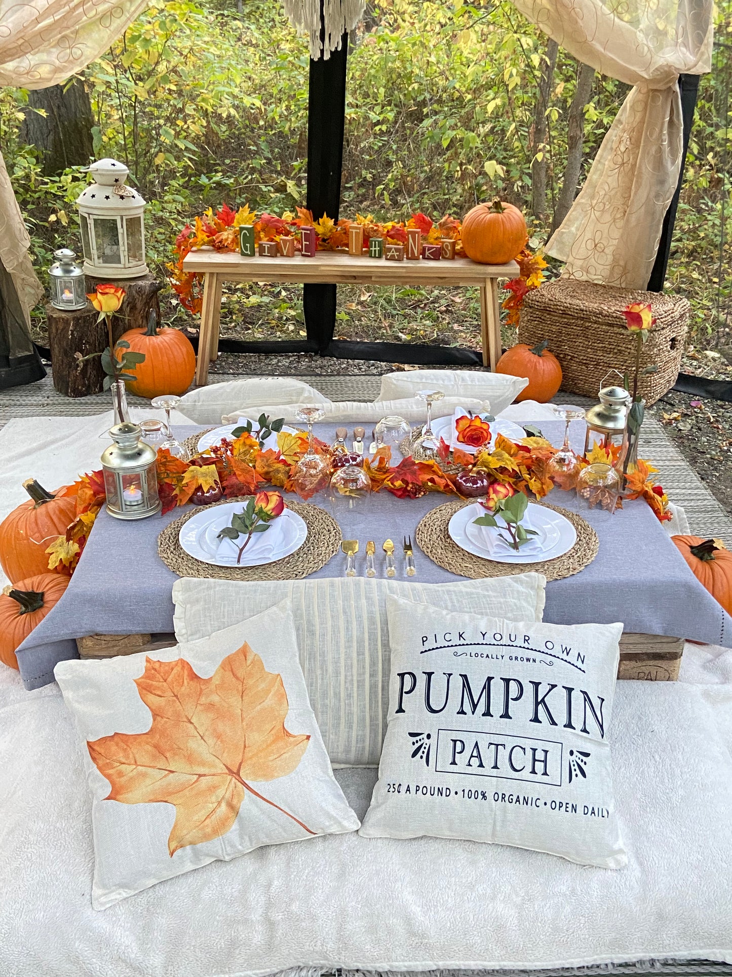 Fall Picnic