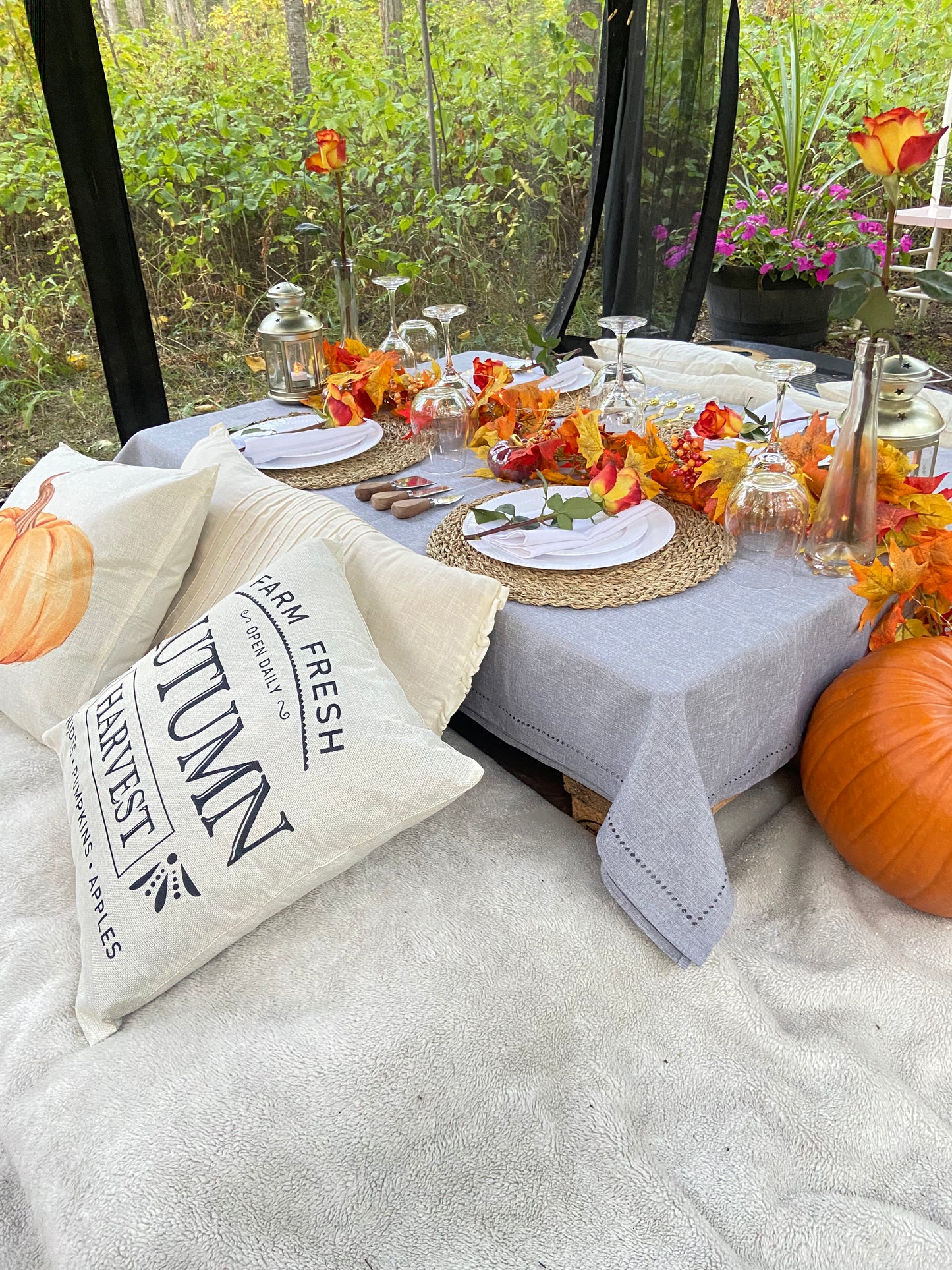 Fall Picnic
