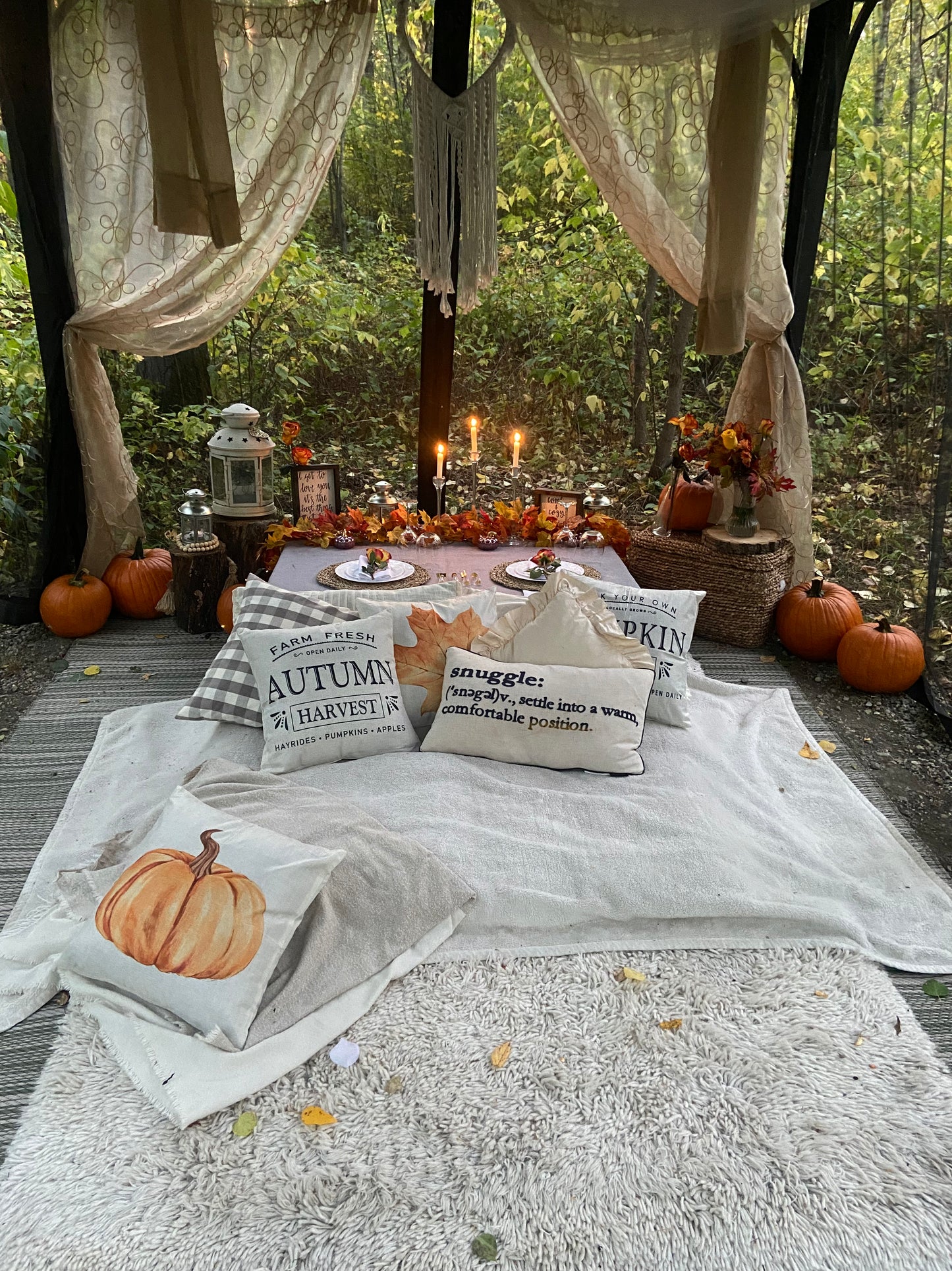 Fall Romantic Picnic