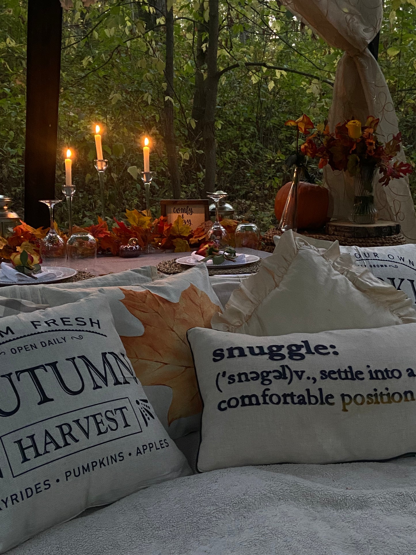 Fall Romantic Picnic