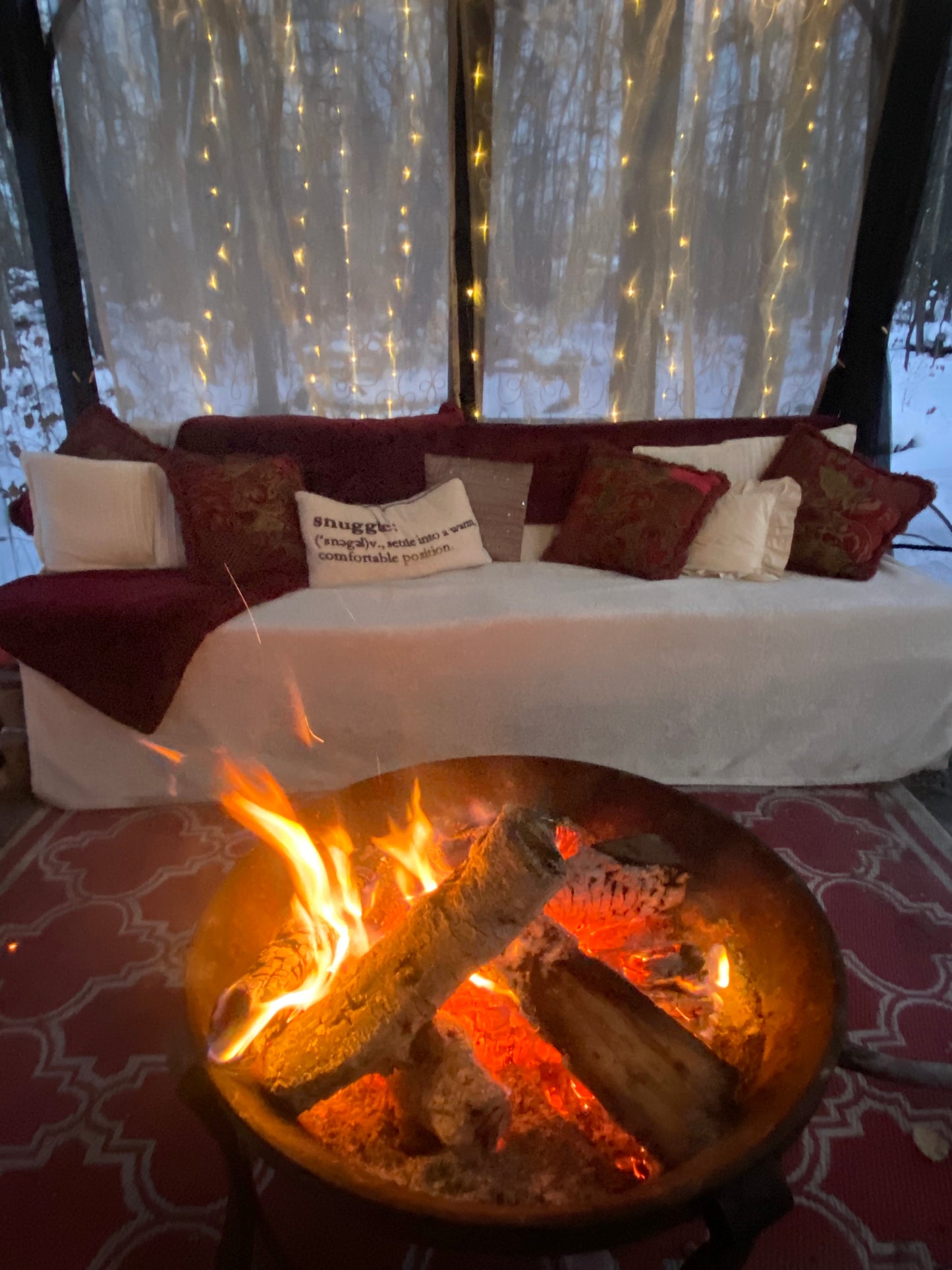 Winter Group Picnic