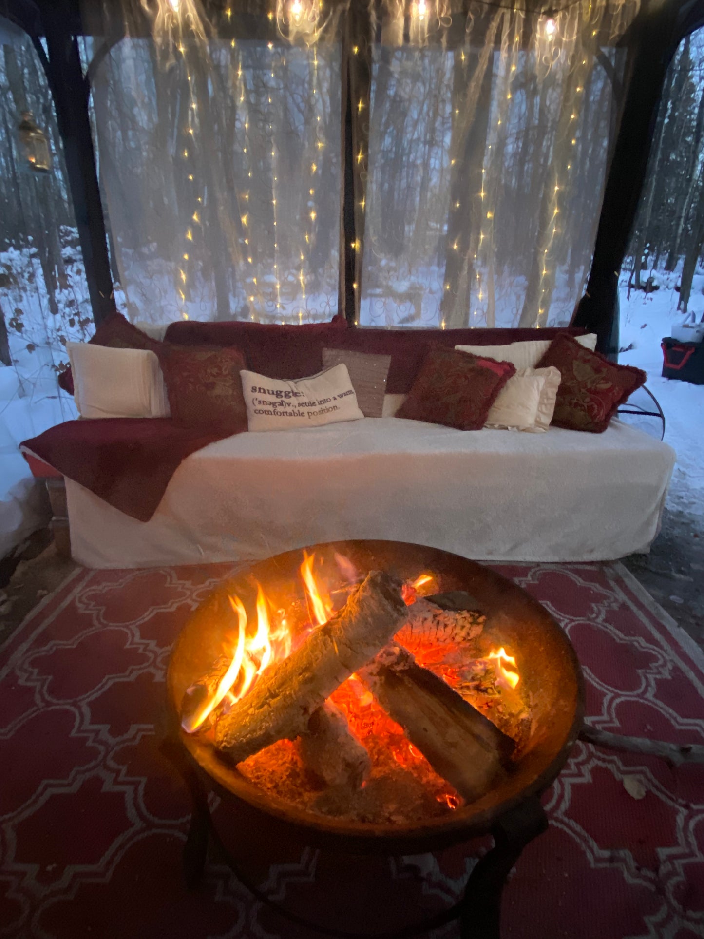 Winter Romantic Picnic for 2
