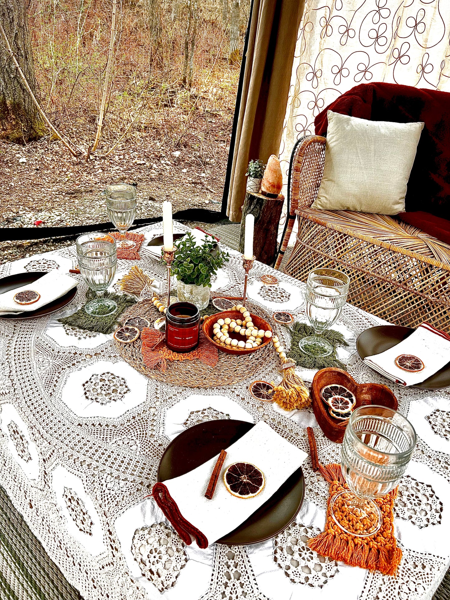 BOHO Group Picnic