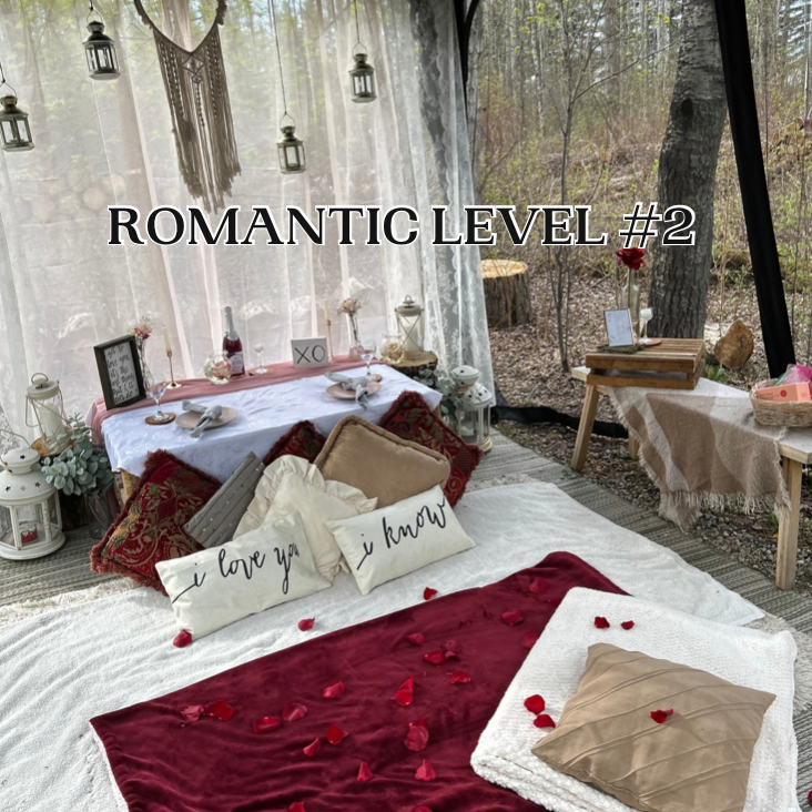 Romantic Picnic For Two